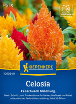 Kiepenkerl Celosia Federbusch Mischung