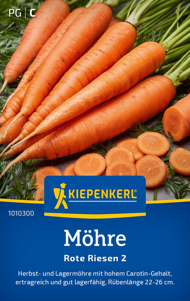 Kiepenkerl Möhren Rote Riesen 2