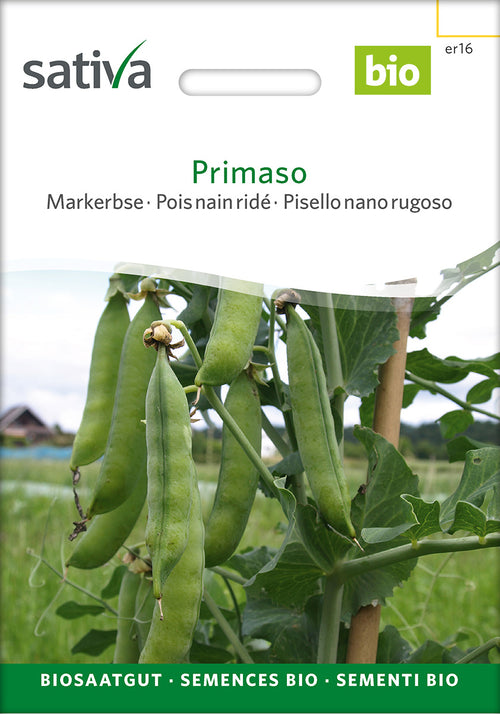 Sativa BIO Markerbse Primaso