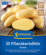 Kiepenkerl Pflanzkartoffel Cilena 20 Stück