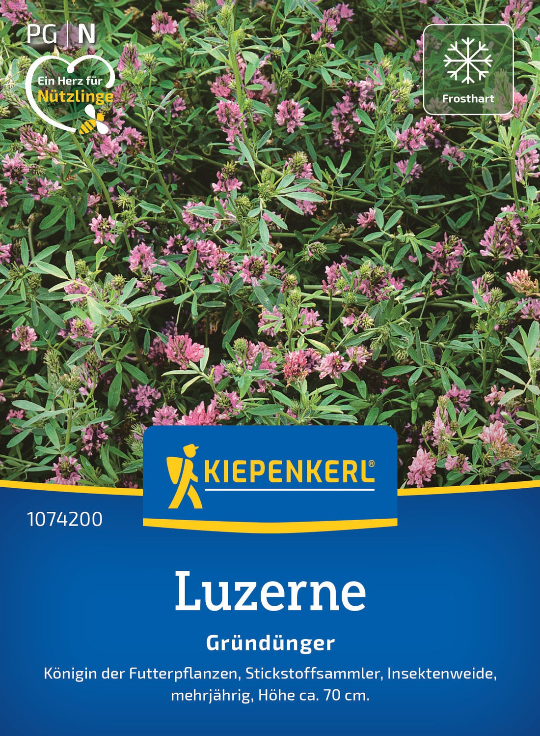 Kiepenkerl Gründünger Luzernen, Saat-Alfalfa Loses Saatgut