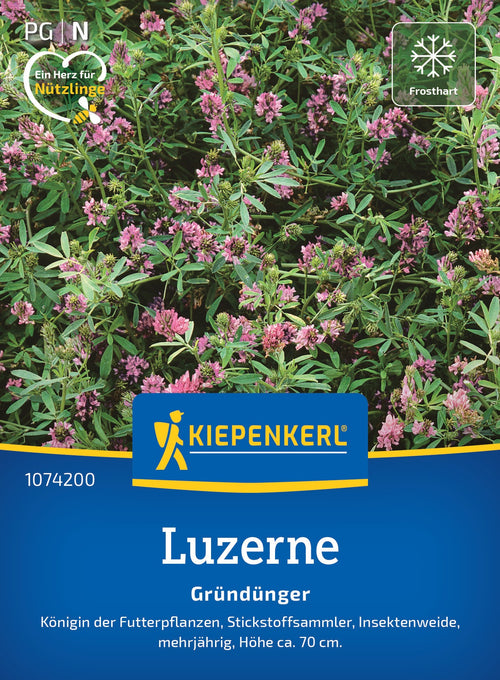 Kiepenkerl Gründünger Luzernen, Saat-Alfalfa Loses Saatgut