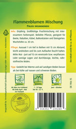 Quedlinburger Sommerphlox Flammenblumen Mischung
