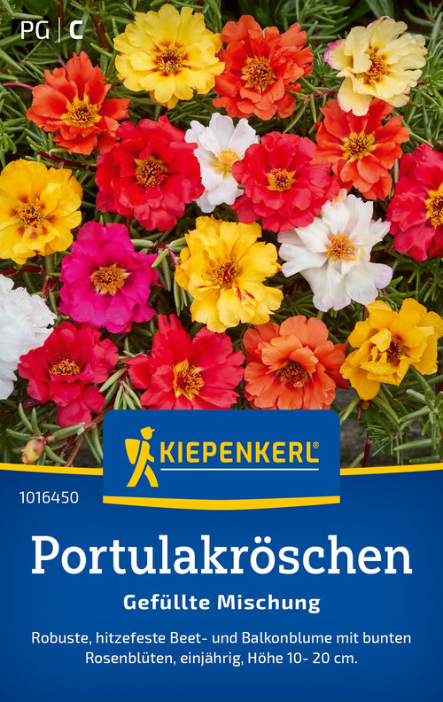 Kiepenkerl Portulakröschen Gefüllte Mischung
