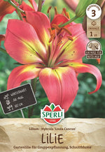 SPERLI Lilie Linda Cancun