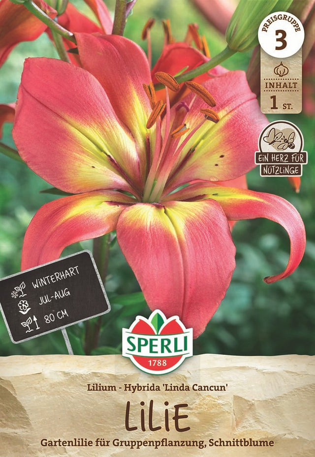 SPERLI Lilie Linda Cancun
