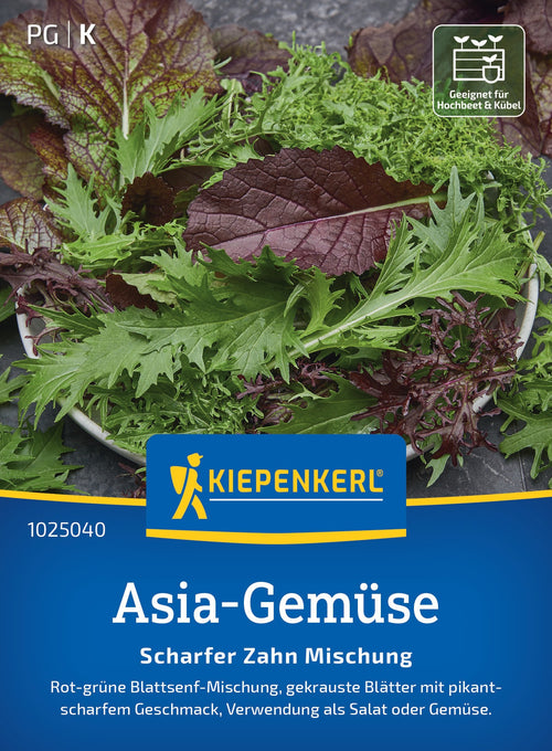 Kiepenkerl Asia-Salat Scharfer Zahn Mischung