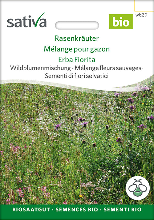 Sativa Wildblumenmischung Rasenkräuter