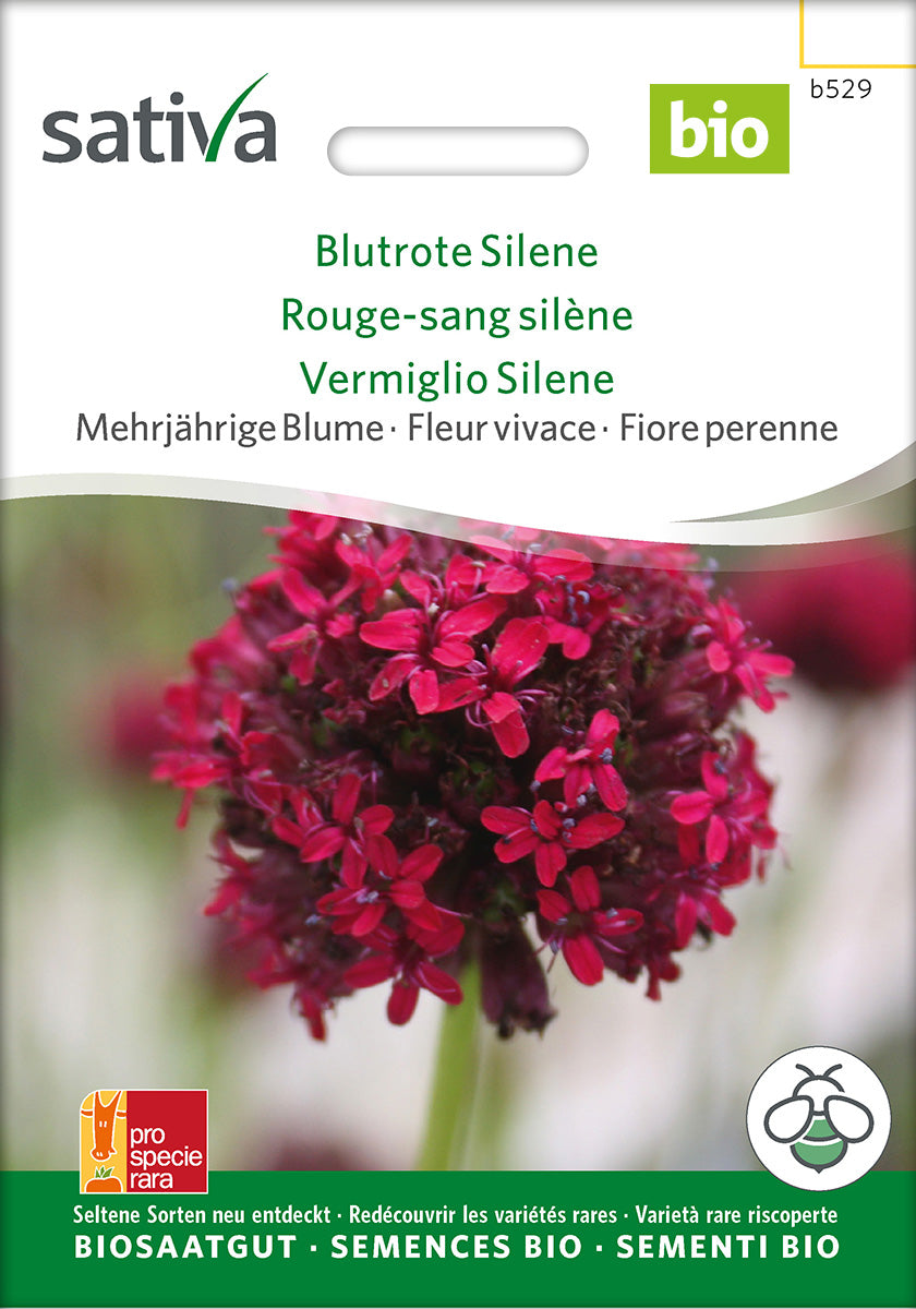 Sativa Blutrote Silene