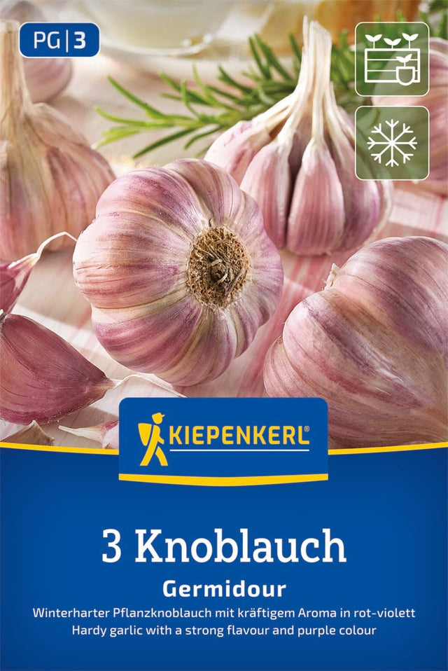 Kiepenkerl Winterknoblauch Germidour 3 Stück