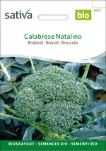 Sativa Brokkoli Calabrese Natalino