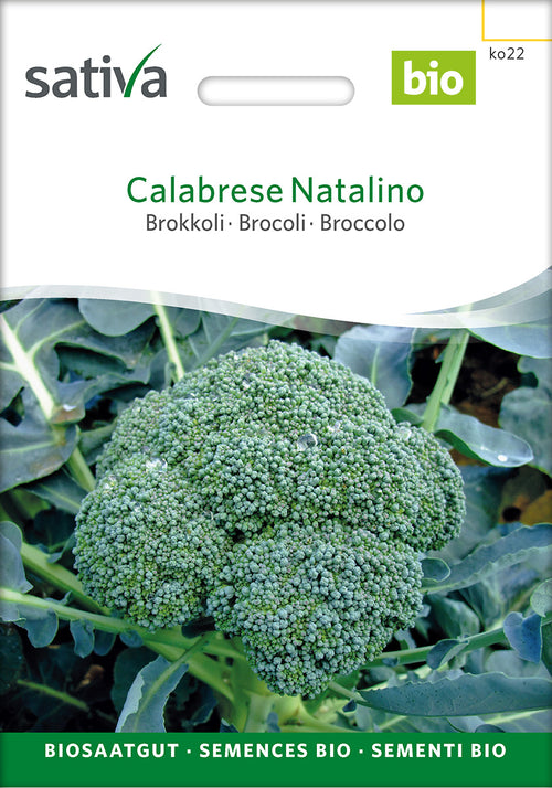 Sativa Brokkoli Calabrese Natalino