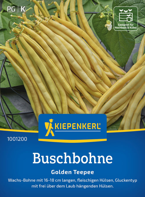 Kiepenkerl Buschbohnen Golden Teepee