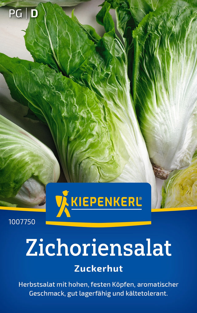 Kiepenkerl Zichoriensalat Zuckerhut