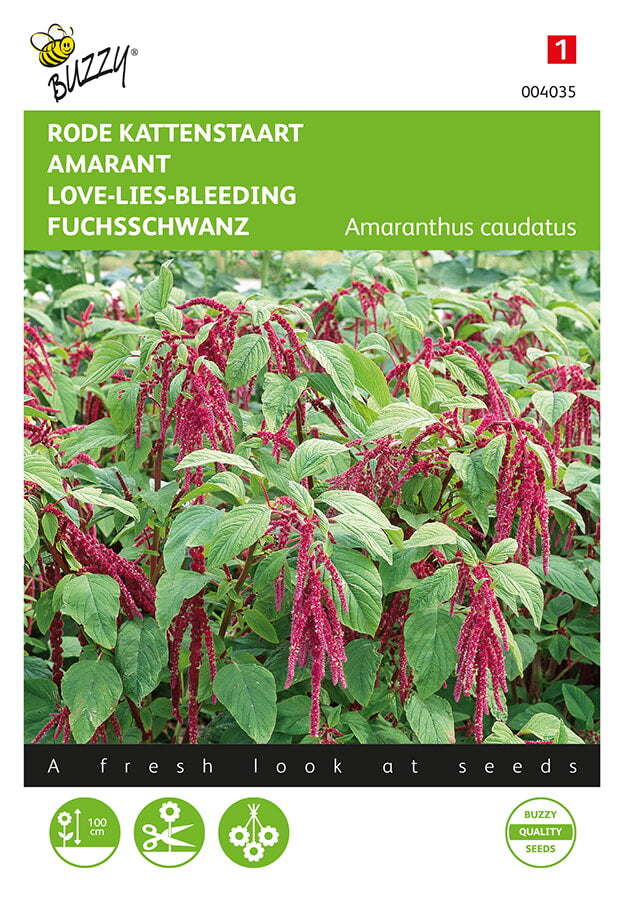 Buzzy Seeds Amarant Roter Fuchsschwanz