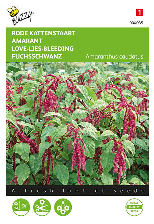 Buzzy Seeds Amarant Roter Fuchsschwanz