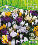 Pegasus BigBag Botanische Krokus Mischung