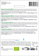 Sativa BIO Gründüngung Wintereiweisserbse EFB.33