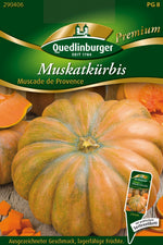 Quedlinburger Muskatkürbis Muscade de Provence