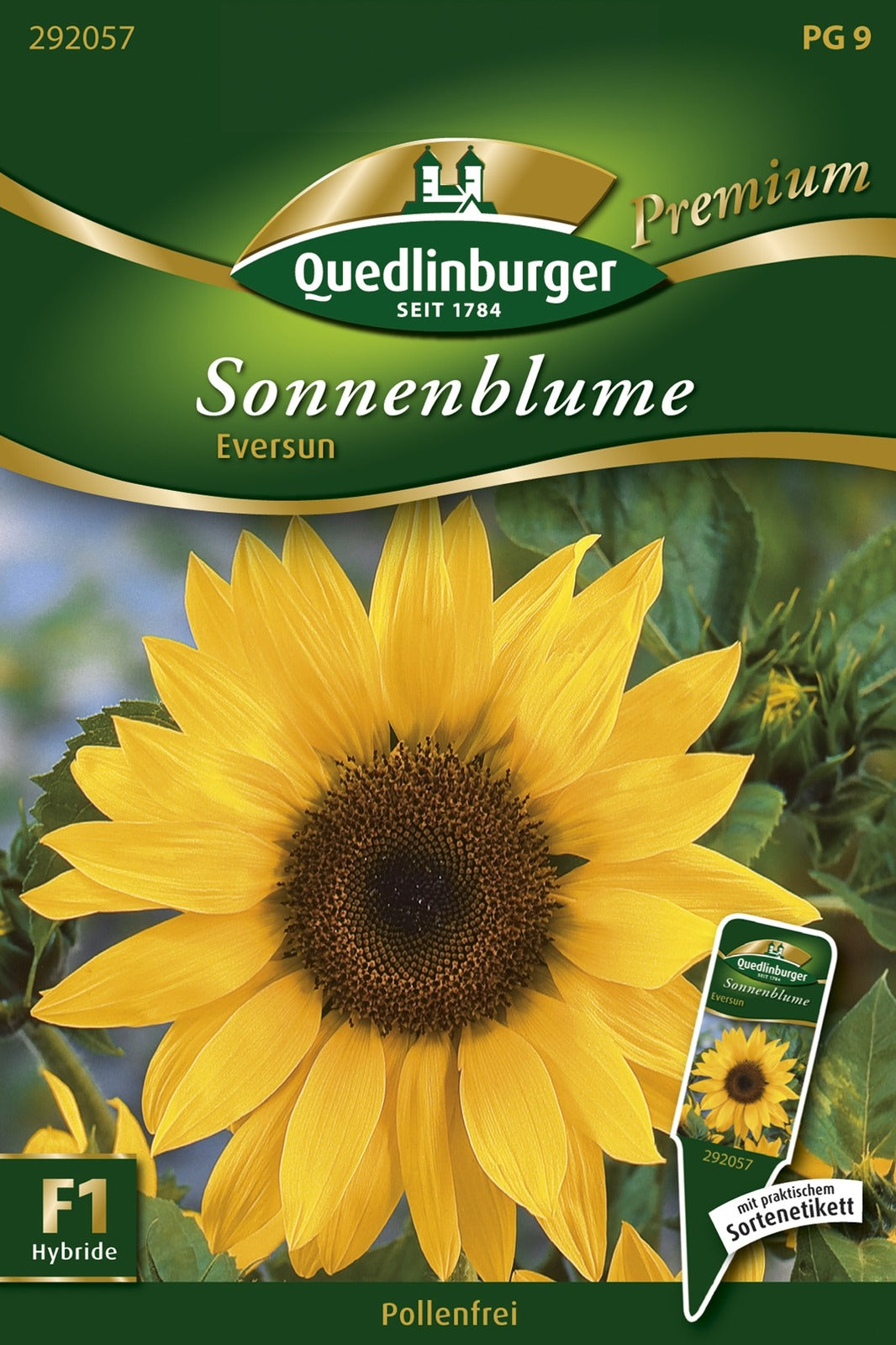 Quedlinburger Sonnenblume Eversun
