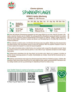 SPERLI Spinnenpflanze SPERLI's Spider Mischung