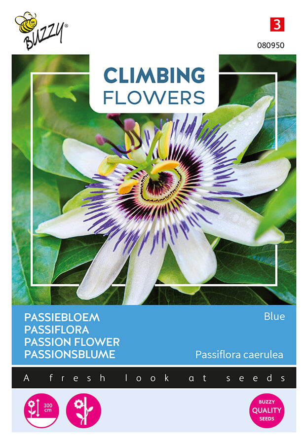 Buzzy Seeds Passionsblume Blau