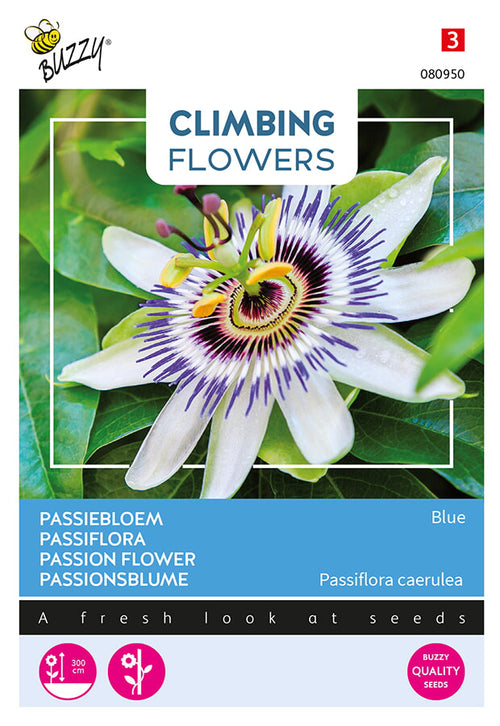 Buzzy Seeds Passionsblume Blau