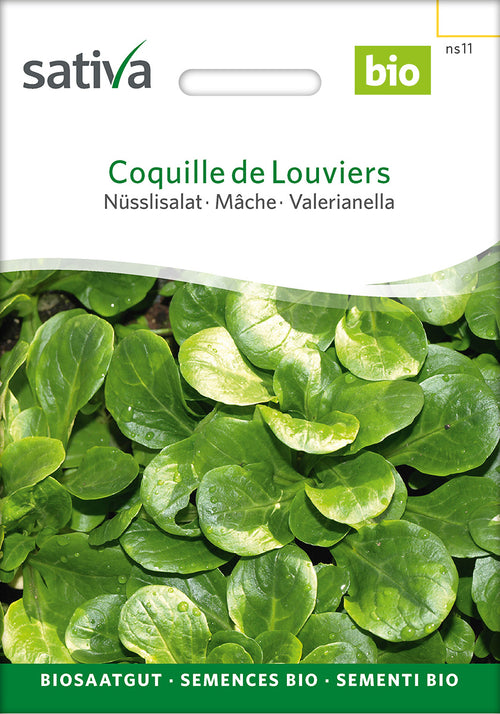 Sativa Nüsslisalat Coquille de Louviers