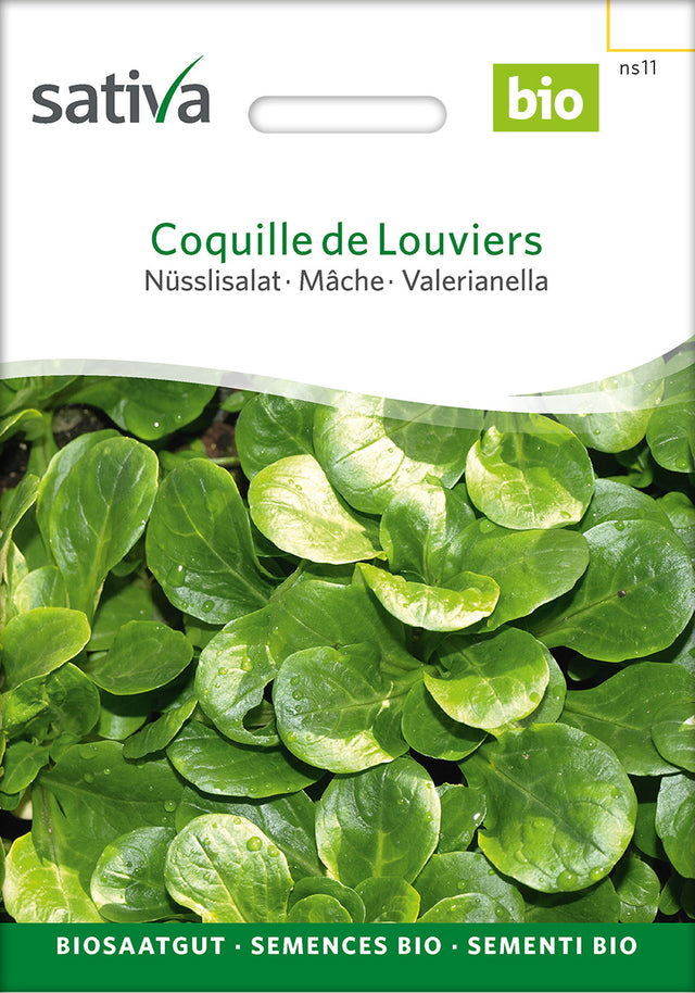Sativa Nüsslisalat Coquille de Louviers
