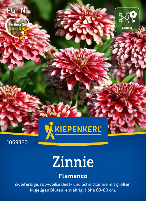 Kiepenkerl Zinnien Flamenco