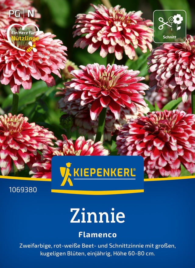 Kiepenkerl Zinnien Flamenco