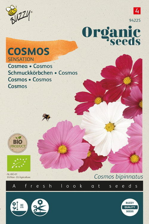 Buzzy Organic Seeds BIO Schmuckkörbchen Sensation