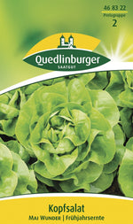 Quedlinburger Kopfsalat Mai Wunder