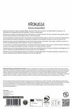 Wildkrokus Romance