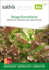 Sativa Bataviasalat rot Rouge Grenobloise