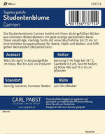 Pabst Keimkraft Studentenblumen Carmen