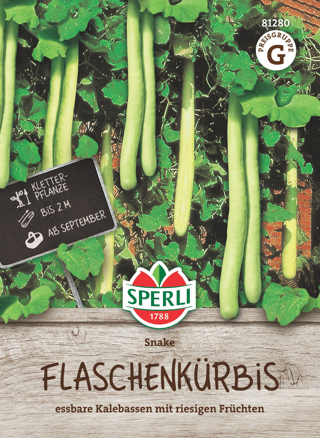 SPERLI Zierkürbis Snake (Herkuleskeule)