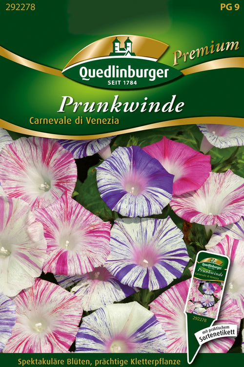 Quedlinburger Prunkwinde Carnevale di Venezia