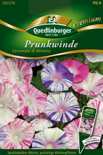 Quedlinburger Prunkwinde Carnevale di Venezia