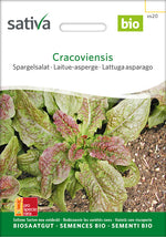 Sativa Spargelsalat Cracoviensis