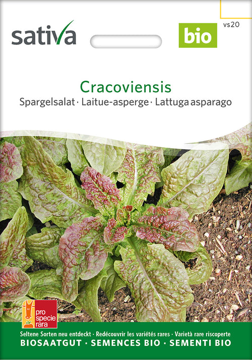Sativa Spargelsalat Cracoviensis