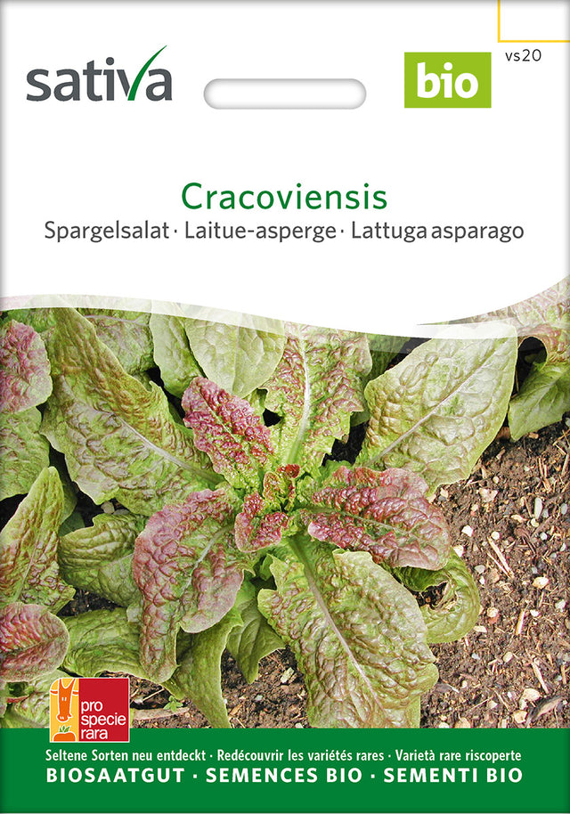 Sativa Spargelsalat Cracoviensis