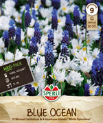 Maxi Blue Ocean Mix