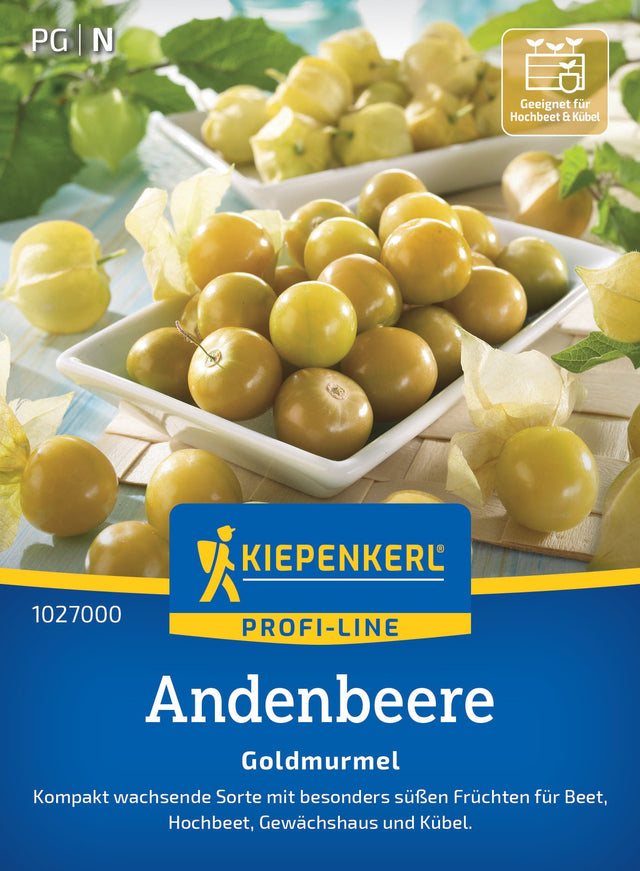 Kiepenkerl Physalis Goldmurmel
