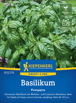 Kiepenkerl Basilikum Prospera