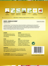 N.L. Chrestensen Radies Candela di fuoco