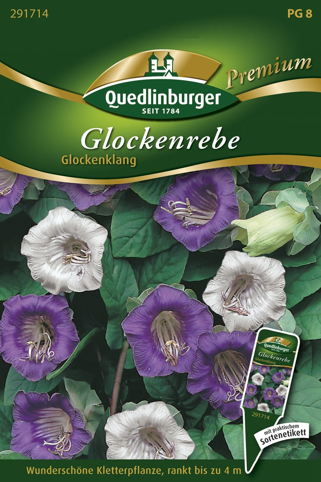 Quedlinburger Glockenrebe Glockenklang