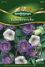 Quedlinburger Glockenrebe Glockenklang