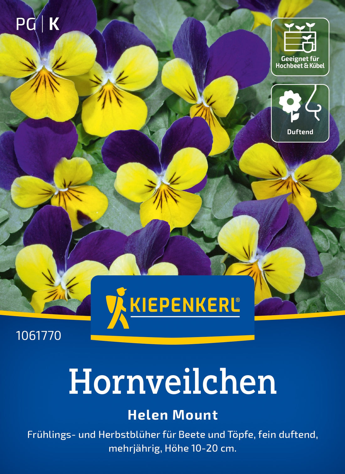 Kiepenkerl Hornveilchen Helen Mount