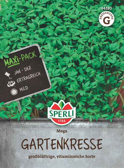 SPERLI Gartenkresse Mega Vorteilspackung